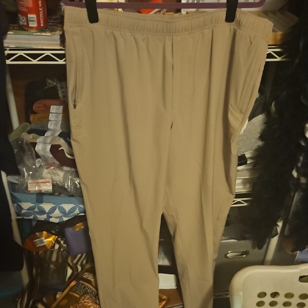 DSG Men's Beige Joggers